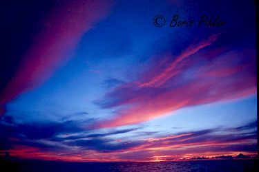 Tubataha Philippines